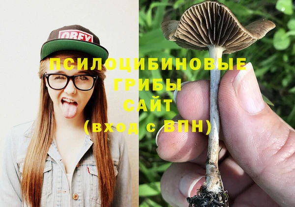 тгк Арсеньев
