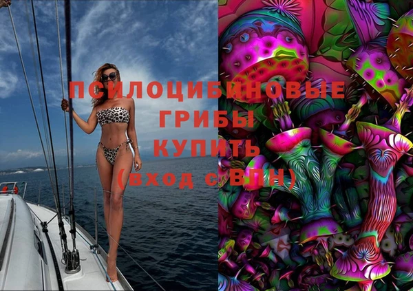 ПСИЛОЦИБИНОВЫЕ ГРИБЫ Баксан