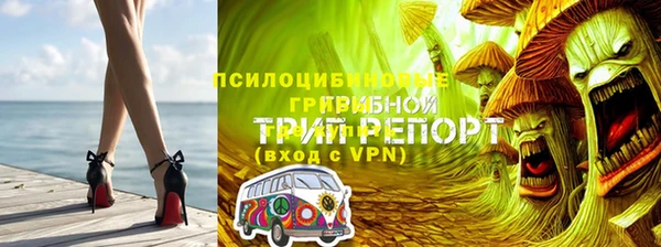 Альфа ПВП Аркадак