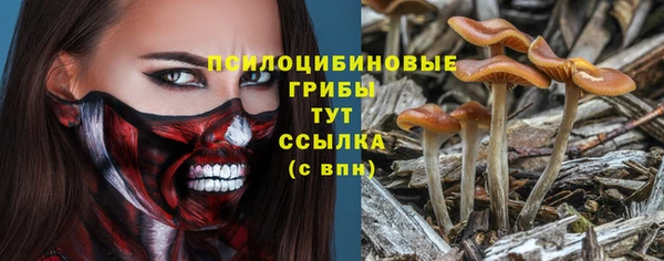 тгк Арсеньев