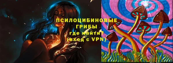 Альфа ПВП Аркадак
