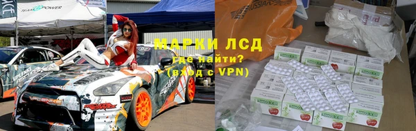 ПСИЛОЦИБИНОВЫЕ ГРИБЫ Баксан
