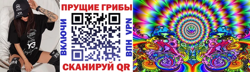 Галлюциногенные грибы GOLDEN TEACHER  Курганинск 